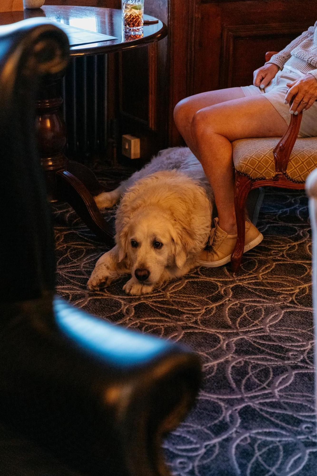 The Royal Bideford